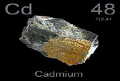 Cadmium Hazard Analysis